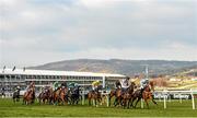 16 March 2016; Runners and riders during the Fred Winter Juvenile Handicap Hurdle. Prestbury Park, Cheltenham, Gloucestershire, England. Picture credit: Seb Daly / SPORTSFILE