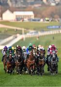 16 March 2016; Runners and riders during the Weatherbys Champion Bumper. Prestbury Park, Cheltenham, Gloucestershire, England. Picture credit: Seb Daly / SPORTSFILE