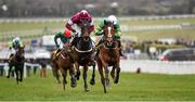 18 March 2016; Ivanovich Gorbatov, right, with Barry Geraghty up, races to the line alongside Apple's Jade, with Bryan Cooper up, on their way to winning the JCB Triumph Hurdle. Prestbury Park, Cheltenham, Gloucestershire, England. Picture credit: Seb Daly / SPORTSFILE