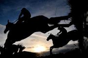 28 February 2010; A general view of horses clearing the last fence during The Newlands Steeplechase. Leopardstown Racecourse, Dublin. Picture credit: Brian Lawless / SPORTSFILE