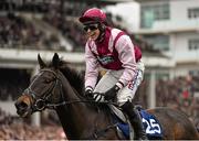 18 March 2016; Superb Story, with Harry Skelton up, on their way to winning the Vincent O'Brien County Handicap Hurdle. Prestbury Park, Cheltenham, Gloucestershire, England. Picture credit: Seb Daly / SPORTSFILE