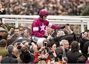 18 March 2016; Bryan Cooper is given a high-five from a racegoer as he is led into the winners' enclosure after winning the Timico Cheltenham Gold Cup on Don Cossack. Prestbury Park, Cheltenham, Gloucestershire, England. Picture credit: Seb Daly / SPORTSFILE