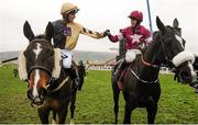 18 March 2016; Bryan Cooper, right, is congratulated by Patrick Mullins after winning the Timico Cheltenham Gold Cup on Don Cossack. Prestbury Park, Cheltenham, Gloucestershire, England. Picture credit: Seb Daly / SPORTSFILE