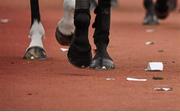 18 March 2016; Dicarded betting slips litter the shoot at the end of Day 4 of the Cheltenham Festival. Prestbury Park, Cheltenham, Gloucestershire, England. Picture credit: Seb Daly / SPORTSFILE