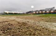 18 March 2016; A detailed view of the grass seed spread on the pitch at Scotstoun Stadium. Guinness PRO12 Round 9 Refixture, Glasgow Warriors v Leinster. Scotstoun Stadium, Glasgow, Scotland. Picture credit: Stephen McCarthy / SPORTSFILE