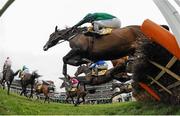 18 March 2016; A general view of the JCB Triumph Hurdle. Prestbury Park, Cheltenham, Gloucestershire, England. Picture credit: Cody Glenn / SPORTSFILE