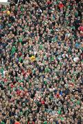 13 March 2010; Supporters watching the game from Hill 16. RBS Six Nations Rugby Championship, Ireland v Wales, Croke Park, Dublin. Picture credit: Ray McManus / SPORTSFILE