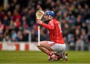 20 March 2016; Patrick Horgan, Cork, appeals to officials after a shot had been adjudged wide. Allianz Hurling League, Division 1A, Round 5, Tipperary v Cork, Semple Stadium, Thurles, Co. Tipperary. Picture credit: Ray McManus / SPORTSFILE