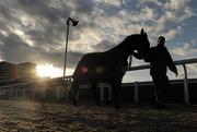 15 March 2010; A general view of horse and stablehand ahead of tomorrow's start of the Cheltenham Racing Festival 2010. Prestbury Park, Cheltenham, Gloucestershire, England. Picture credit: Stephen McCarthy / SPORTSFILE