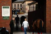 15 March 2010; A general view of horses entering the stables ahead of the 2010 Cheltenham Festival. Prestbury Park, Cheltenham, Gloucestershire, England. Photo by Sportsfile