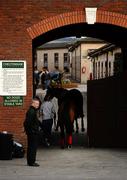 15 March 2010; A general view of horses entering the stables ahead of the 2010 Cheltenham Festival. Prestbury Park, Cheltenham, Gloucestershire, England. Photo by Sportsfile