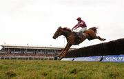 17 March 2010; Weapon's Amnesty, with Davy Russell up, jumps the last on their way to winning the RSA Chase. Cheltenham Racing Festival - Wednesday. Prestbury Park, Cheltenham, Gloucestershire, England. Photo by Sportsfile