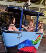 20 March 2016; TG4 Ladies Football All Stars, from left, Lyndsay Davey, Sinead Finnegan and Noelle Healy, all Dublin, during a visit to San Diego Zoo. TG4 Ladies Football All-Star Tour. San Diego, California, USA. Picture credit: Brendan Moran / SPORTSFILE