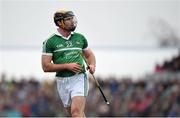 20 March 2016; James Ryan, Limerick. Allianz Hurling League, Division 1B, Round 5, Clare v Limerick. Cusack Park, Ennis, Co. Clare. Picture credit: Diarmuid Greene / SPORTSFILE