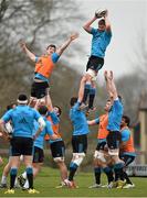 21 March 2016; Munster's Dave Foley wins possession in a lineout ahead of Sean McCarthy during squad training. Munster Rugby Squad Training and Press Conference. University of Limerick, Limerick. Picture credit: Diarmuid Greene / SPORTSFILE