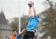 21 March 2016; Munster's Dave Foley wins possession in a lineout ahead of Jordan Coghlan during squad training. Munster Rugby Squad Training and Press Conference. University of Limerick, Limerick. Picture credit: Diarmuid Greene / SPORTSFILE