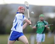 14 March 2010; John Mullane, Waterford. Allianz GAA Hurling National League, Division 1, Round 3, Waterford v Limerick, Fraher Field, Dungarvan, Co. Waterford. Picture credit: Matt Browne / SPORTSFILE