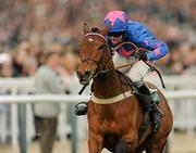 17 March 2010; Cue Card, with Joe Tizzard up, on their way to winning the Weatherbys Champion Bumper. Cheltenham Racing Festival - Wednesday. Prestbury Park, Cheltenham, Gloucestershire, England. Picture credit: Stephen McCarthy / SPORTSFILE