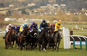 17 March 2010; A general view of the field during the Weatherbys Champion Bumper. Cheltenham Racing Festival - Wednesday. Prestbury Park, Cheltenham, Gloucestershire, England. Photo by Sportsfile