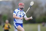14 March 2010; John Mullane, Waterford. Allianz GAA Hurling National League, Division 1, Round 3, Waterford v Limerick, Fraher Field, Dungarvan, Co. Waterford. Picture credit: Matt Browne / SPORTSFILE
