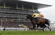 18 March 2016; Ibis Du Rheu, with Jack Sherwood up, on their way to winning the Martin Pipe Conditional Jockeys' Handicap Hurdle. Prestbury Park, Cheltenham, Gloucestershire, England. Picture credit: Cody Glenn / SPORTSFILE