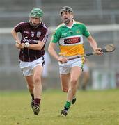 20 March 2010; David Burke, Galway, in action against Rory Hanniffy, Offaly. Allianz GAA National Hurling League, Division 1, Round 4, Galway v Offaly. Pearse Stadium, Galway. Picture credit: Ray Ryan / SPORTSFILE