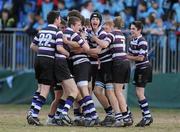 21 March 2010; The Terenure College players celebrate at the final whistle. Leinster Schools Junior Cup Final, St Michael's College v Terenure College, Donnybrook Stadium, Dublin. Picture credit: Pat Murphy / SPORTSFILE