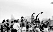 20 January 1973; A general view of the action between Ireland and New Zealand. International Rugby Test Match, Ireland v New Zealand, Lansdowne Road, Dublin. Picture credit: Connolly Collection / SPORTSFILE