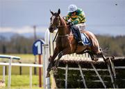 27 March 2016; Jer's Girl, with Barry Geraghty up, jumps the last on their way to winning the Irish Stallions Farms European Breeders Fund Mares Novice Hurdle Championship Final. Horse Racing at the Fairyhouse Easter Festival. Fairyhouse, Co. Meath. Picture credit: Cody Glenn / SPORTSFILE