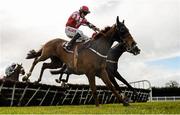 27 March 2016; Eventual winner Acapella Bourgeois, left, with Jonathan Burke up, clears the final hurdle alongside Nambour, with Bryan Cooper up, on their way to winning the Agnelli Motor Park Novice Hurdle. Horse Racing at the Fairyhouse Easter Festival. Fairyhouse, Co. Meath. Picture credit: Cody Glenn / SPORTSFILE
