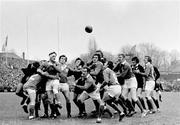 20 January 1973; A general view of the action between Ireland and New Zealand. International Rugby Test Match, Ireland v New Zealand, Lansdowne Road, Dublin. Picture credit: Connolly Collection / SPORTSFILE