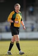21 March 2010; Referee Aidan Mangan, Kerry. Allianz GAA National Football League, Division 2, Round 5, Kildare v Westmeath, St Conleth's Park, Newbridge, Co. Kildare. Picture credit: Ray McManus / SPORTSFILE