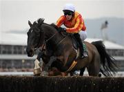 17 March 2010; Gentle Ranger, with Joshua Guerriero up, during the 140th Year Of The National Hunt Chase Challenge Cup. Cheltenham Racing Festival - Wednesday. Prestbury Park, Cheltenham, Gloucestershire, England. Photo by Sportsfile