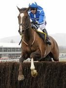 17 March 2010; Little Josh, with Paddy Brennan up, during the RSA Chase. Cheltenham Racing Festival - Wednesday. Prestbury Park, Cheltenham, Gloucestershire, England. Photo by Sportsfile