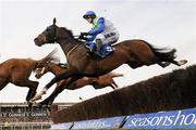 17 March 2010; Mahogany Blaze, with Paddy Brennan up, during the Seasons Holidays Queen Mother Champion Chase. Cheltenham Racing Festival - Wednesday. Prestbury Park, Cheltenham, Gloucestershire, England. Photo by Sportsfile