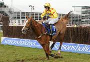 17 March 2010; Oh Crick, with Wayne Hutchinson up, during the Seasons Holidays Queen Mother Champion Chase. Cheltenham Racing Festival - Wednesday. Prestbury Park, Cheltenham, Gloucestershire, England. Photo by Sportsfile