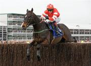 17 March 2010; Golden Silver, with Paul Townend up, during the Seasons Holidays Queen Mother Champion Chase. Cheltenham Racing Festival - Wednesday. Prestbury Park, Cheltenham, Gloucestershire, England. Photo by Sportsfile