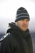 27 March 2010; Leinster head coach Michael Cheika. Celtic League, Leinster v Connacht, RDS, Ballsbridge, Dublin. Picture credit: Stephen McCarthy / SPORTSFILE