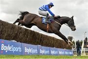 29 March 2016; Mr Diablo, with Luke Dempsey up, jumps the last on their way to winning the Fairyhouse Vets Promoting Equine Health Beginners Steeplechase. Horse Racing - Fairyhouse Easter Festival. Fairyhouse, Co. Meath. Picture credit: Cody Glenn / SPORTSFILE
