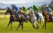 29 March 2016; Eventual winner Mr Diablo, with Jack Dempsey up, leads the field approaching the first ahead of, from front, Bobbie's Diamond, with Denis O'Regan up, Pink Coat, with Roger Loughran up, and Jack The Wire, with D.G. Hogan up, on their winning the Fairyhouse Vets Promoting Equine Health Beginners Steeplechase. Horse Racing - Fairyhouse Easter Festival. Fairyhouse, Co. Meath. Picture credit: Cody Glenn / SPORTSFILE