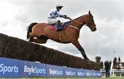 29 March 2016; Jack The Wire, with D.G. Hogan up, clears the last in the Fairyhouse Vets Promoting Equine Health Beginners Steeplechase. Horse Racing - Fairyhouse Easter Festival. Fairyhouse, Co. Meath. Picture credit: Cody Glenn / SPORTSFILE