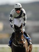 28 March 2010; Duchess of Foxland, with Emmet McNamara up. Leopardstown Racecourse, Dublin. Photo by Sportsfile