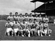 1966; The Wexford team. Wexford v Kilkenny, Leinster Senior Hurling Championship Final, Croke Park, Dublin. Picture credit; Connolly Collection / SPORTSFILE