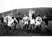 1965; A general view of a lineout during the Final Ireland Rugby Trial. Final Ireland Rugby Trial Match, Lansdowne Road, Dublin. Picture credit; Connolly Collection / SPORTSFILE