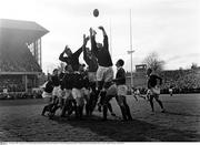 26 February 1966; A general view of a lineout being contested between Ireland and Scotland. Five Nations Championship, Ireland v Scotland, Lansdowne Road, Dublin. Picture credit; Connolly Collection / SPORTSFILE