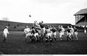 1966; A general view of a lineout being contested between Leinster and Ulster. Interprovincial Rugby, Leinster v Ulster, Lansdowne Road, Dublin. Picture credit; Connolly Collection / SPORTSFILE