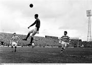 24 April 1966; A general view of the action between Shamrock Rovers and Limerick. FAI Cup Final, Shamrock Rovers v Limerick, Dalymount Park, Dublin. Picture credit: Connolly Collection / SPORTSFILE