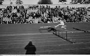 1966; A general view of athletics. The Amateur Athletic Union Championships, Santry, Dublin. Picture credit: Connolly Collection / SPORTSFILE