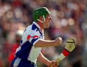 13 May 2001; Dave Simms of New York celebrates his side's first goal during the Ulster Senior Hurling Championship Quarter-Final match between New York and Down at Gaelic Park in New York City, USA. Photo by Aoife Rice/Sportsfile