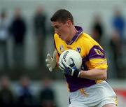 6 May 2001; Tom Howlin of Wexford during the Bank of Ireland Leinster Senior Football Championship First Round match between Laois and Wexford at Dr Cullen Park in Carlow. Photo by Aoife Rice/Sportsfile